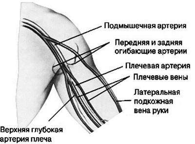 osteocondroza articulației umărului 2 grade