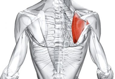 analgetske masti za bol u ramenom zglobu