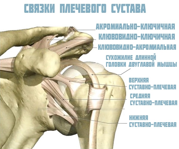Umflăturile cauzate de tendinita bicepsului - Cifoză - 