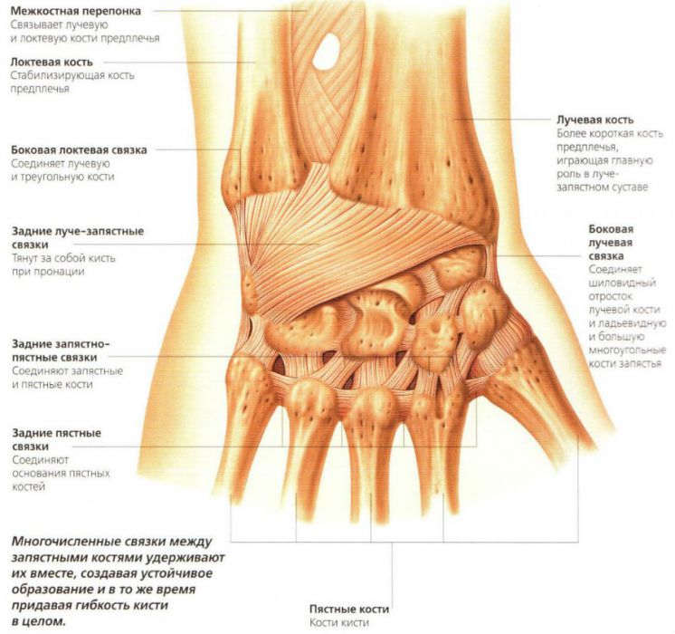 Este posibilă tratarea artrozei articulației genunchiului