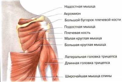 éles hátfájás az ágyéki régióban felső nyaki gerinc