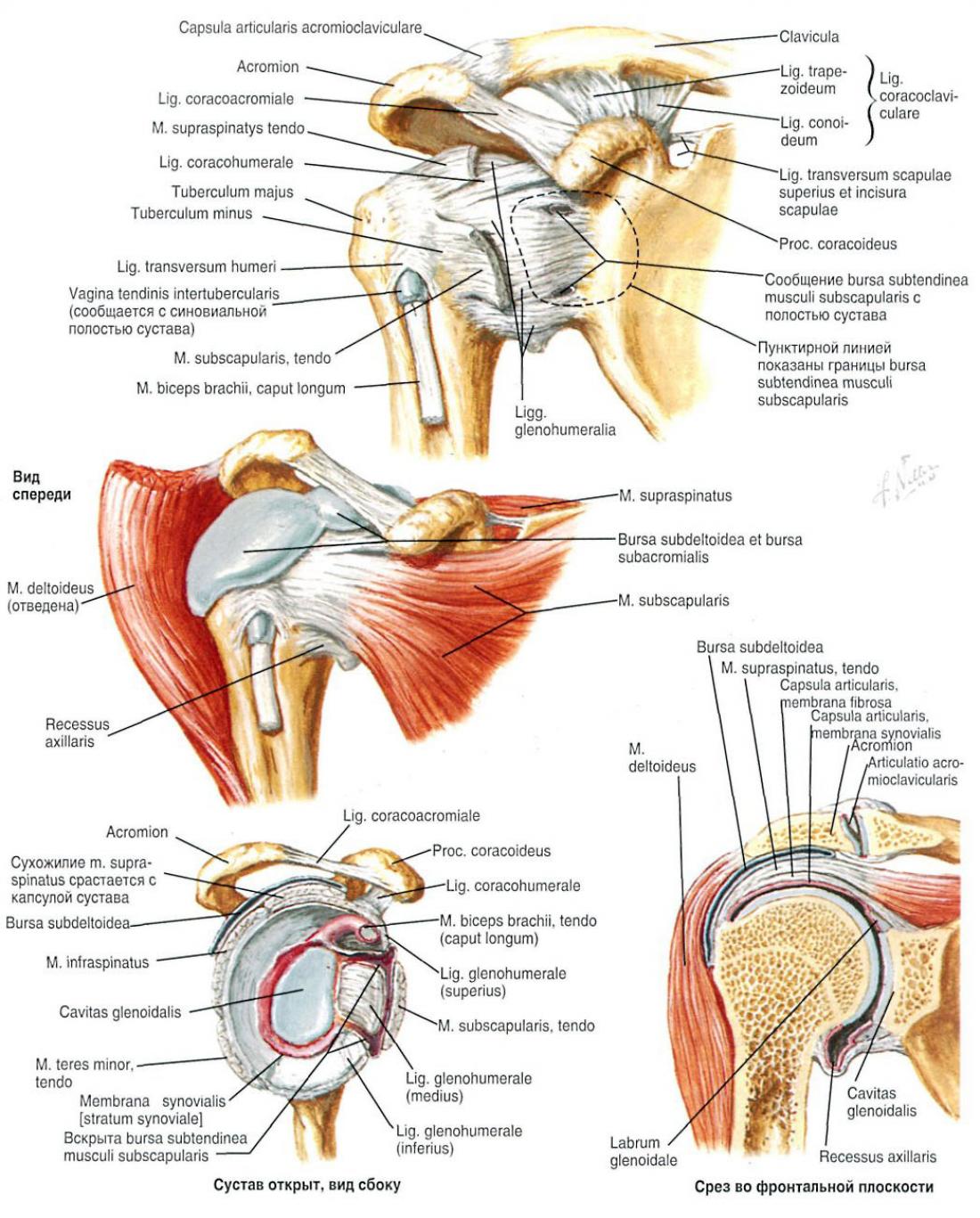 Artroscopia articulației umărului