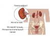 Chronic and acute pyelonephritis