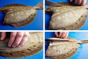 Hogyan tisztítsuk meg egyszerűen a lepényhalat és filézzük le a lepényhalat a pikkelyektől?