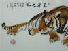 Amuri tigris: milyen veszélyek fenyegetik?