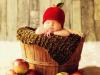 Ako a kedy začať dávať jablká bábätkám