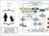 Methionine is an essential amino acid Ways to use the methyl group of methionine