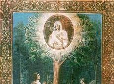 Modlitba k Matke Božej pred jej ikonou („Zhirovitskaya“)