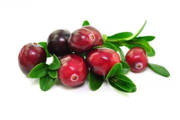 The healing properties of cranberries during pregnancy