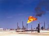 אינפוגרפיקה: מאגרי פצלי נפט וגז בעולם