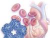 C-reaktívny proteín v krvi: norma v testoch, prečo stúpa, úloha v diagnostike